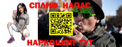 МДПВ Сланцы
