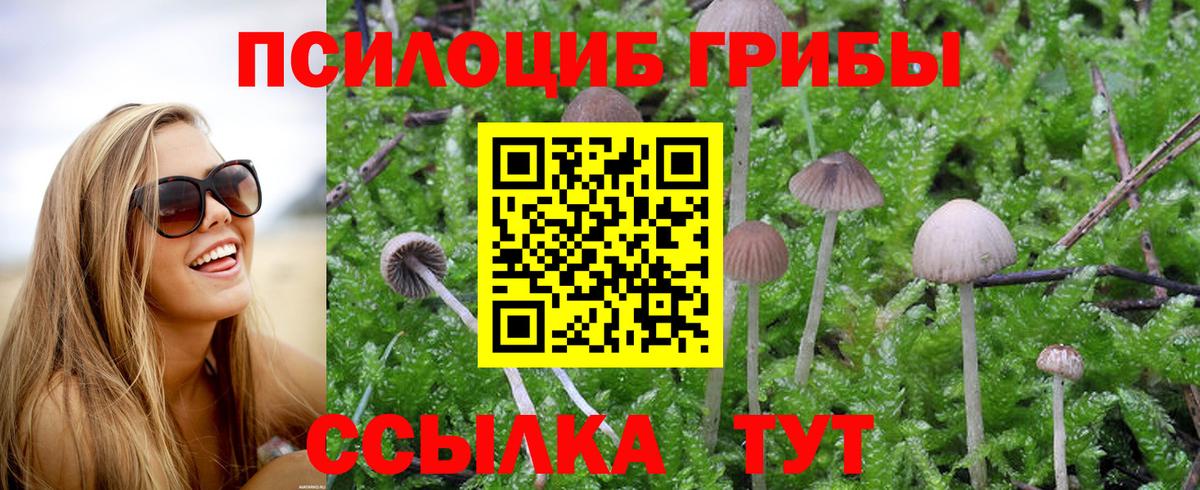 Галлюциногенные грибы прущие грибы Павлово