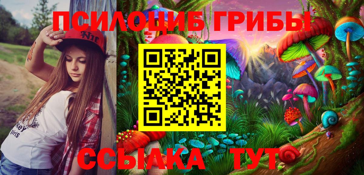 Павлово  Галлюциногенные грибы Psilocybe  Вход с VPN 